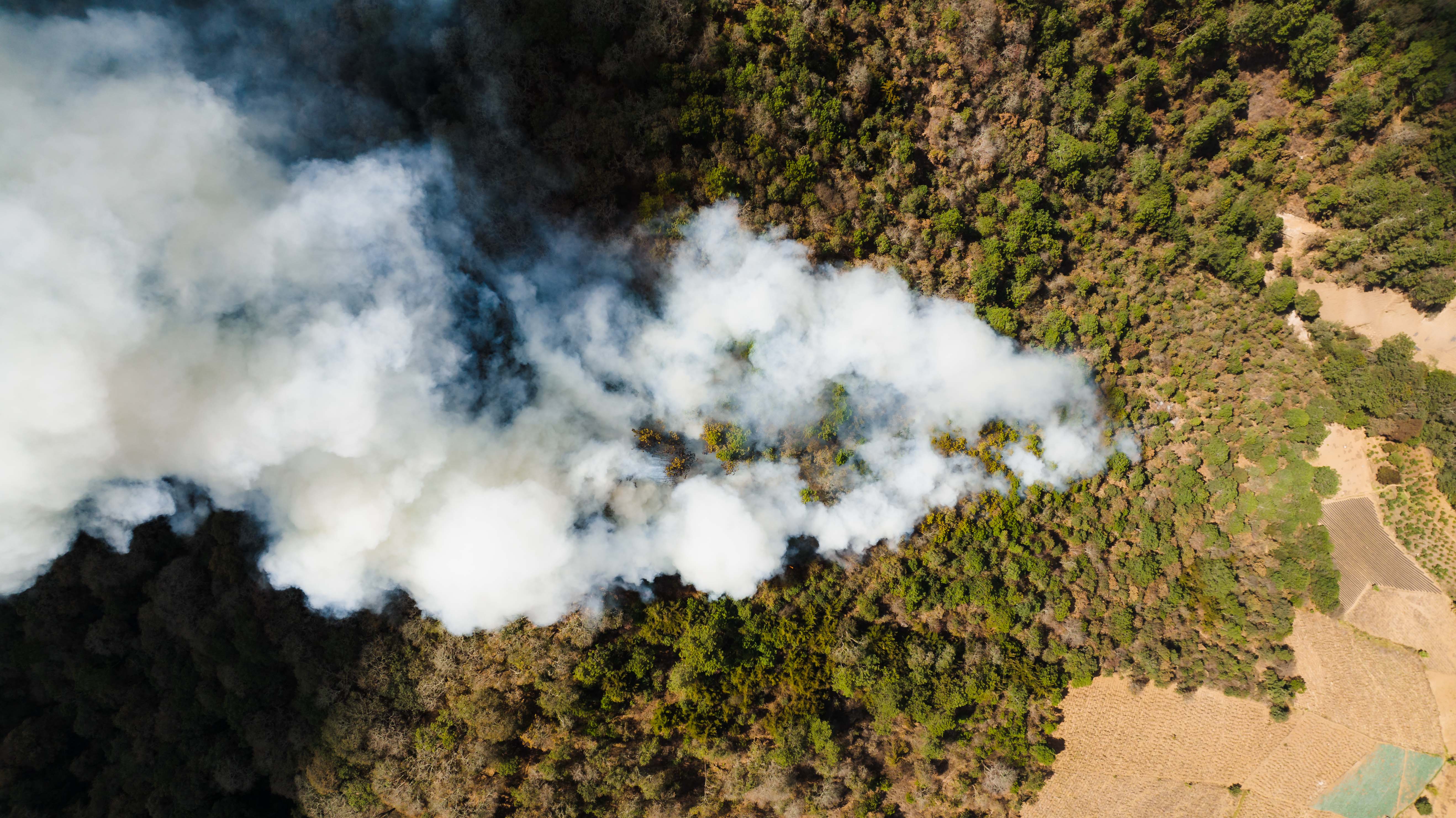 Wildfire smoke viewed from above